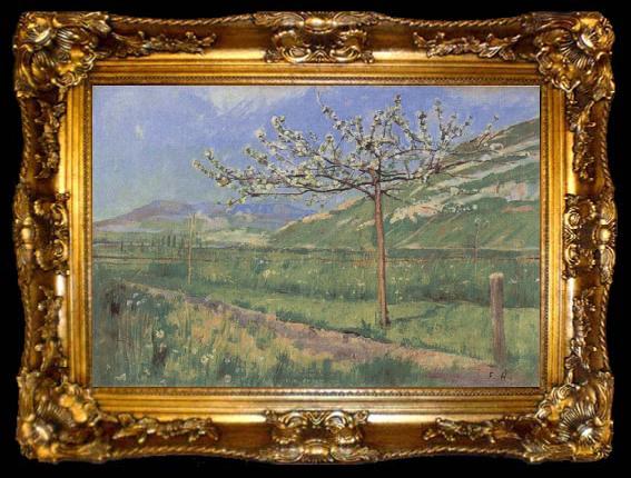 framed  Ferdinand Hodler Apple tree in Blossom, ta009-2